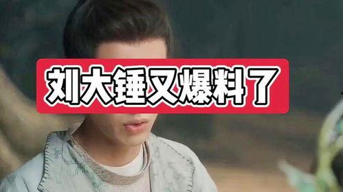 刘大锤其他爆料视频大全,揭秘娱乐圈幕后真相